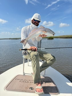Fishing in Nocatee, Florida