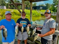 Fishing in Alba, Texas