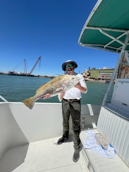 Fishing in Port Isabel, Texas