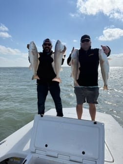 Fishing in Port Mansfield, Texas