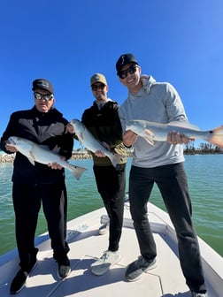 Fishing in Sarasota, Florida