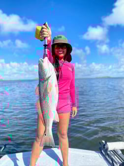 Redfish Fishing in Corpus Christi, Texas