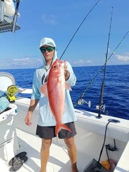 Fishing in Placida, Florida
