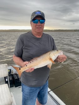 Fishing in Pensacola, Florida
