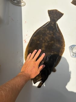 Fishing in Virginia Beach, Virginia