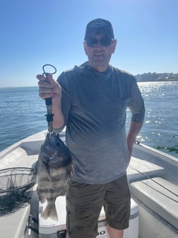 Fishing in Orange Beach, Alabama