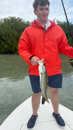 Fishing in Islamorada, Florida