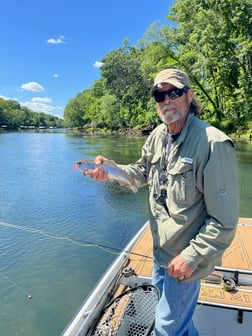 Fishing in Heber Springs, Arkansas