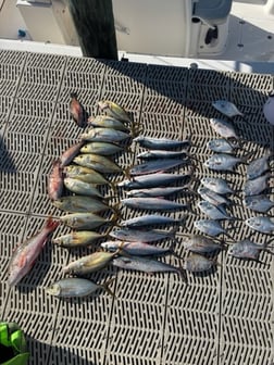 Fishing in Key Largo, Florida