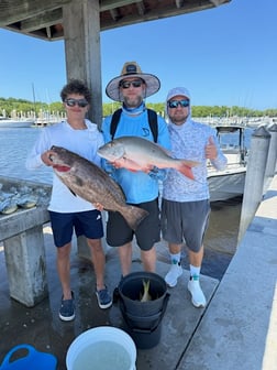 Fishing in Miami, Florida