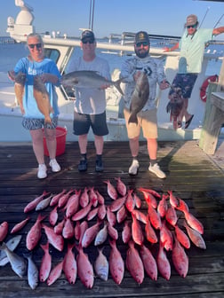 Fishing in Gulf Shores, Alabama