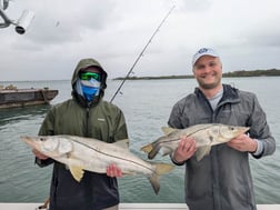 Fishing in Sebastian, Florida
