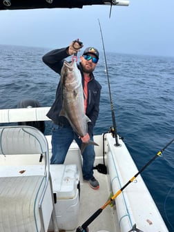 Fishing in Panama City, Florida