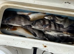 Fishing in Biloxi, Mississippi