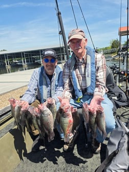 Fishing in Harrison, Tennessee