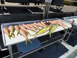 Fishing in Key West, Florida