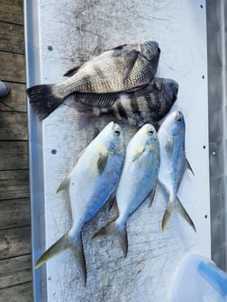 Fishing in Sebastian, Florida