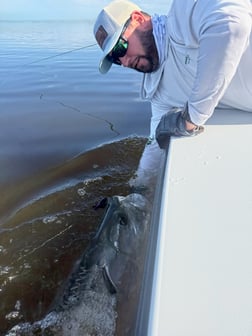 Fishing in Everglades City, Florida