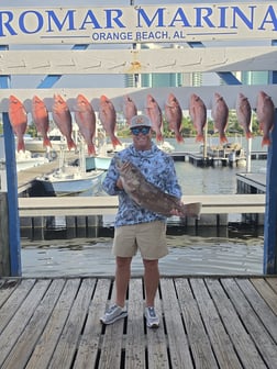 Fishing in Orange Beach, Alabama