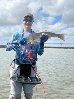 Fishing in South Padre Island, Texas