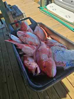 Fishing in Corpus Christi, Texas