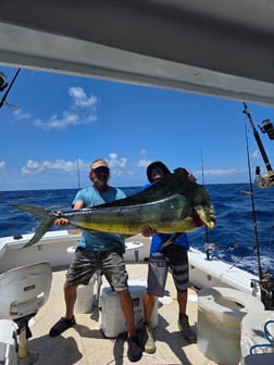 Fishing in Islamorada, Florida