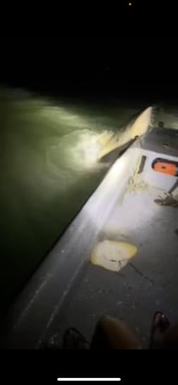 Fishing in Port Isabel, Texas