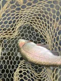 Fishing in Broken Bow, Oklahoma