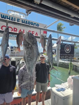 Fishing in Islamorada, Florida