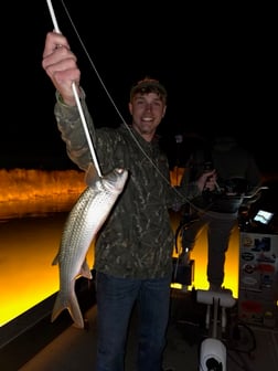 Fishing in Elberta, Alabama