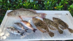 Fishing in St. Petersburg, Florida