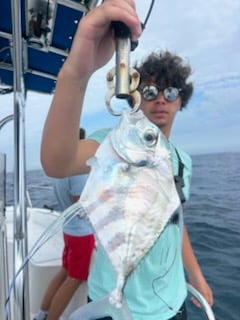 Fishing in Port Orange, Florida