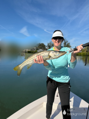 Fishing in Sarasota, Florida