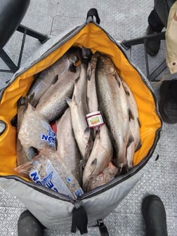 Fishing in Scappoose, Oregon