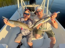 Snook Fishing in St. Petersburg, Florida