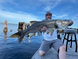 Fishing in Punta Gorda, Florida