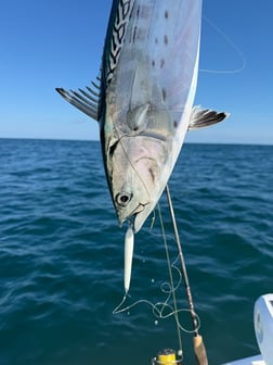 Fishing in Beaufort, North Carolina