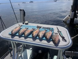 Fishing in Key Largo, Florida