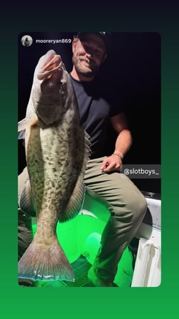 Fishing in St. Petersburg, Florida