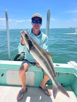 Fishing in St. Petersburg, Florida