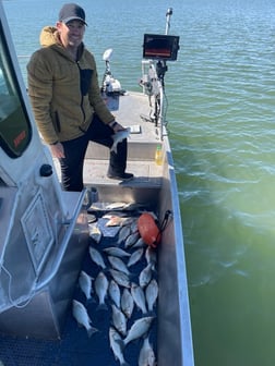 Hunting in Rowlett, Texas