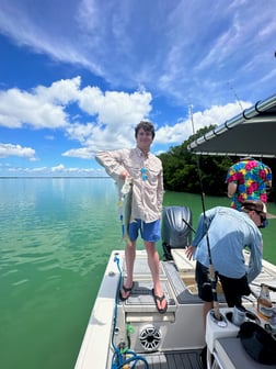 Mangrove Snapper, Speckled Trout Fishing in Key Largo, Florida