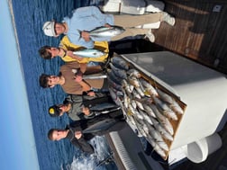 Fishing in San Diego, California