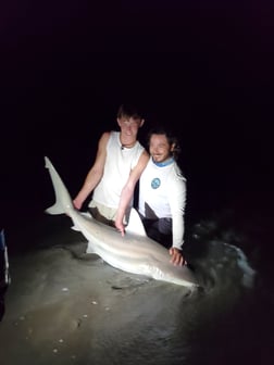 Blacktip Shark Fishing in Melbourne Beach, Florida