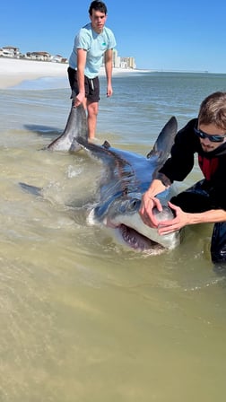 Fishing in Destin, Florida