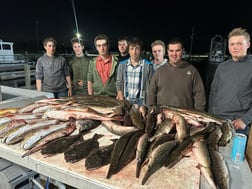 Fishing in Lafitte, Louisiana
