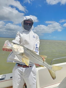 Fishing in Islamorada, Florida