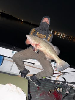 Fishing in St. Petersburg, Florida