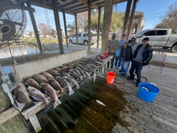 Fishing in Delacroix, Louisiana