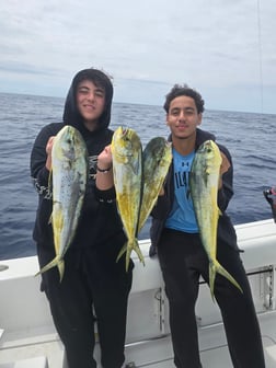 Fishing in Key Biscayne, Florida